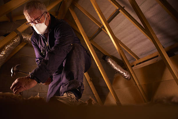 Best Insulation Maintenance and Repair in North Scituate, MA